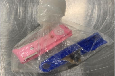 Border Protection agents discover a human umbilical cord in a passenger’s baggage