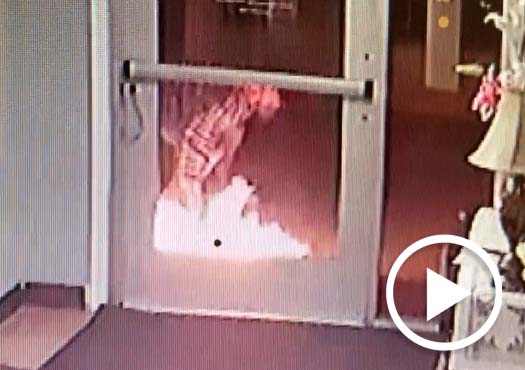 Sheriff’s Department search for man wanted for arson of business office
