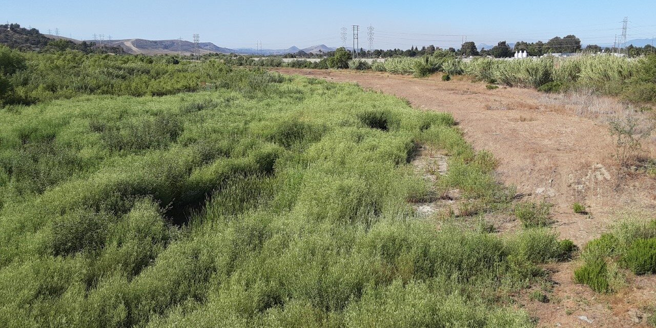 Senators Schiff, Padilla secure $26M for San Luis Rey Flood Project