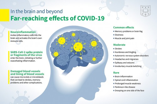 COVID-19 infections increase risk of long-term brain problems