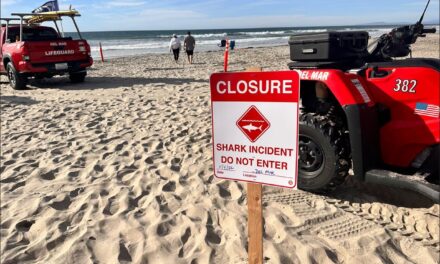 Beach closed this weekend after an apparent shark attack
