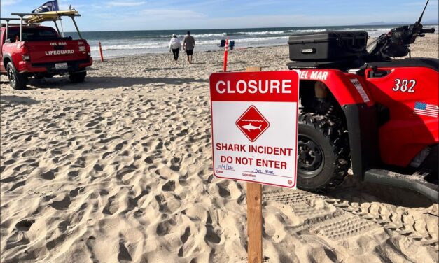 Beach closed this weekend after an apparent shark attack