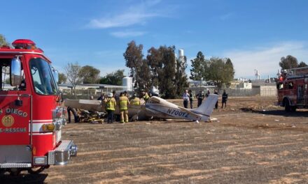 Small plane crash kills one person near Montgomery-Gibbs Executive Airport