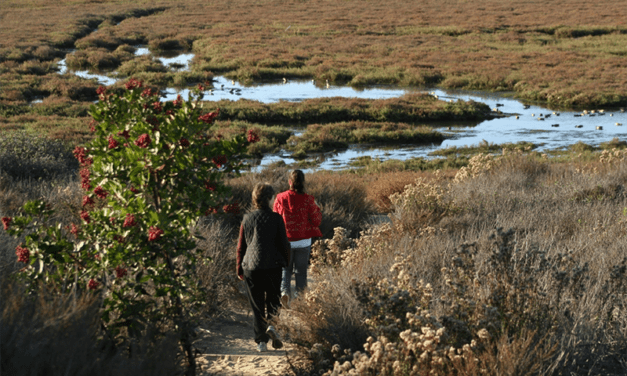 CA State Parks announce grants to protect, restore wildlife habitats