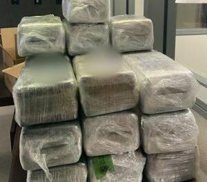 CBP intercept cocaine concealed in watermelon shipment