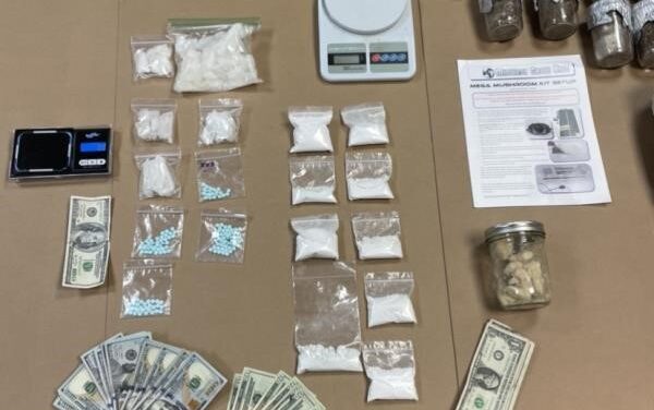 Border Patrol seizes over $480,000 in narcotics in vehicle