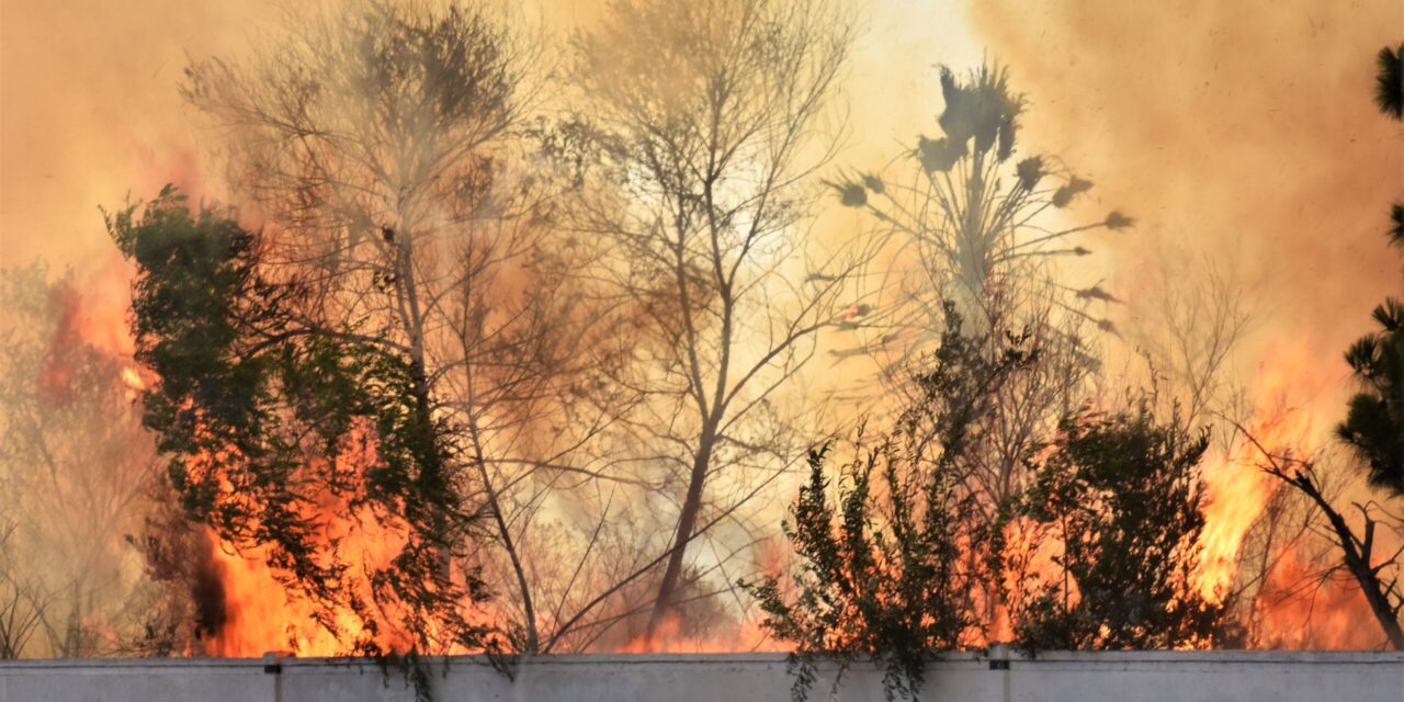 Vegetation fire breaks out near businesses, homes in Oceanside