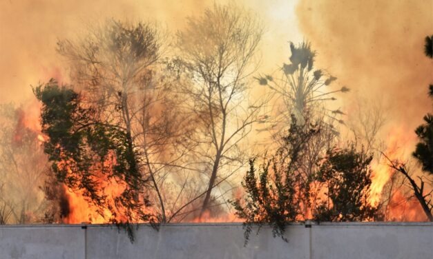 Vegetation fire breaks out near businesses, homes in Oceanside
