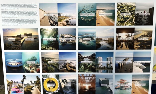 North County residents provide feedback at re-beach workshop