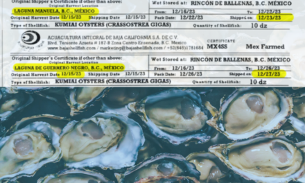 County broadens investigation into oyster-related illness
