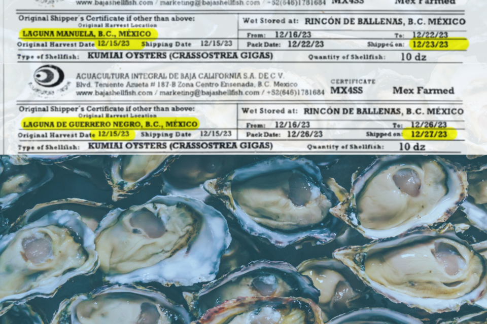 County broadens investigation into oyster-related illness