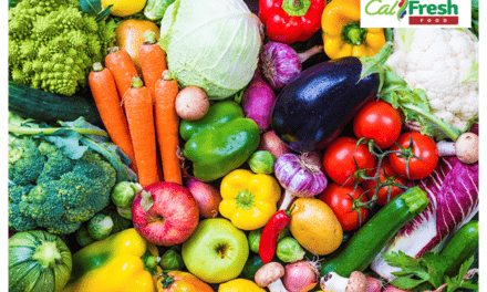 County to prepare residents for changes to CalFresh, Medi-Cal benefits
