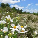 Fallbrook Land Conservancy renews Land Trust Accreditation
