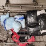Border Patrol agents seize $130,000 worth of fentanyl pills from U.S. citizen