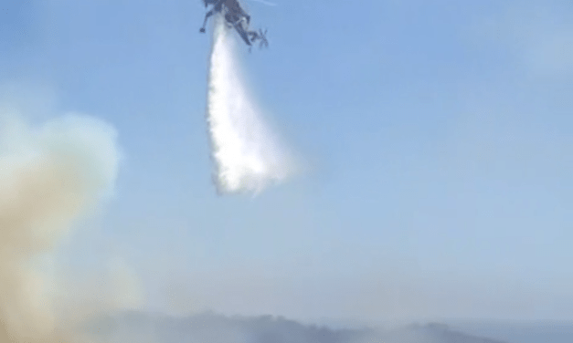 Firefighters halt 19-acre brush fire in Del Mar