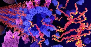 NIH awards $6.9 million to advance potential Alzheimer’s disease treatment