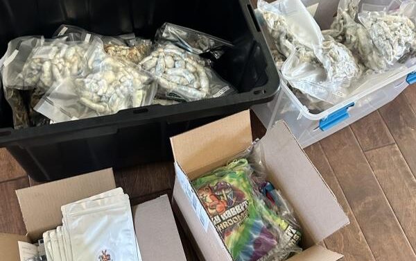 Man arrested for illegal mushroom operation in North County