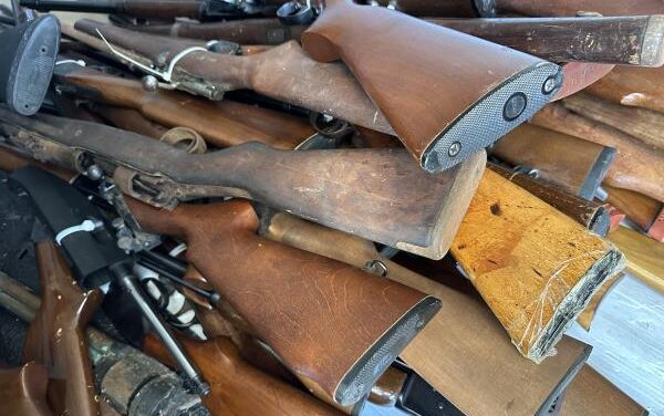 Gun safety event removes 152 firearms from Vista streets