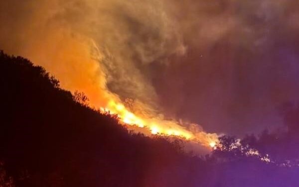 CA Senate Republicans introduce wildfire risk reduction