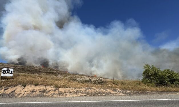 Vegetation fire 100 percent contained in Bonsall