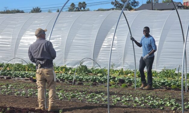 Navore Market launches first online marketplace for local farmers