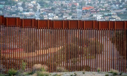 Immigration services gain broader authority