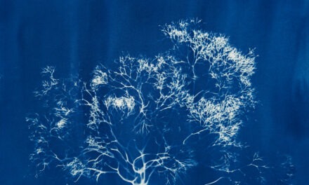 Catalina Museum unveils The Blue Forest by local marine artist