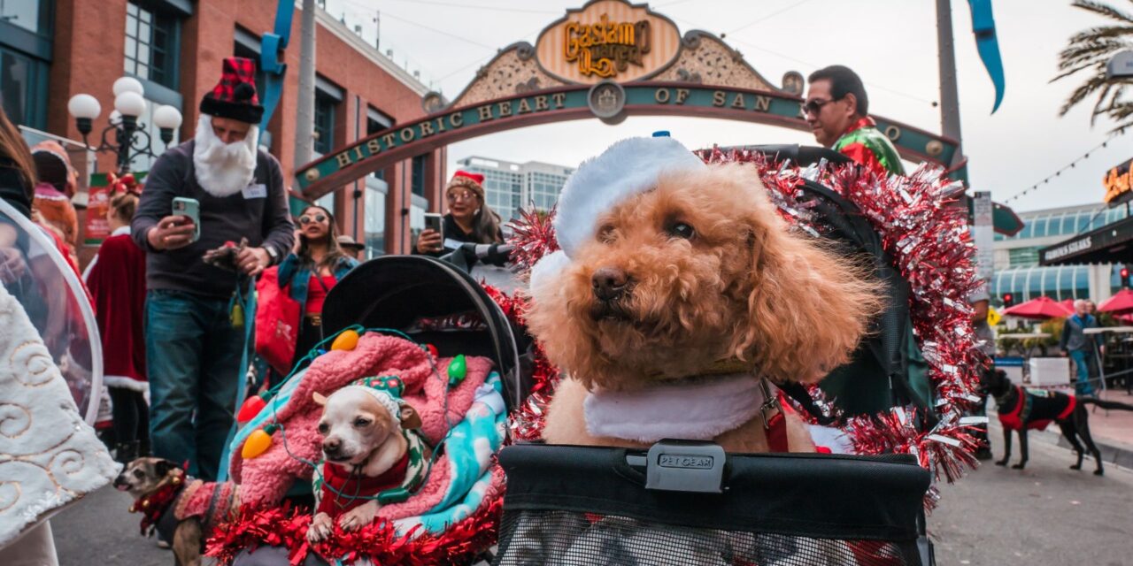 Gaslamp Holiday Pet Parade and Pub Party spread festive cheer