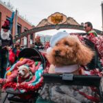 Gaslamp Holiday Pet Parade and Pub Party spread festive cheer