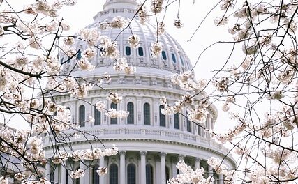 Democrats propose bill to limit force by federal immigration agents