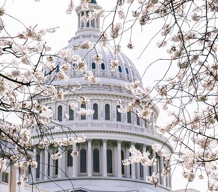 Democrats propose bill to limit force by federal immigration agents