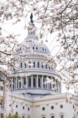 Democrats propose bill to limit force by federal immigration agents