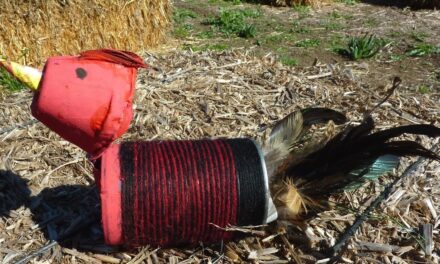 Kids create art from recycled materials at Alta Vista Botanical Gardens