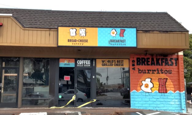 Structure fire damages two businesses in Oceanside