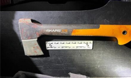 Hatchet attack suspect arrested after two assaults