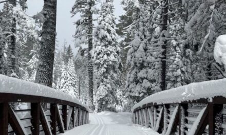 Winter: The best time to escape crowds in California State Parks
