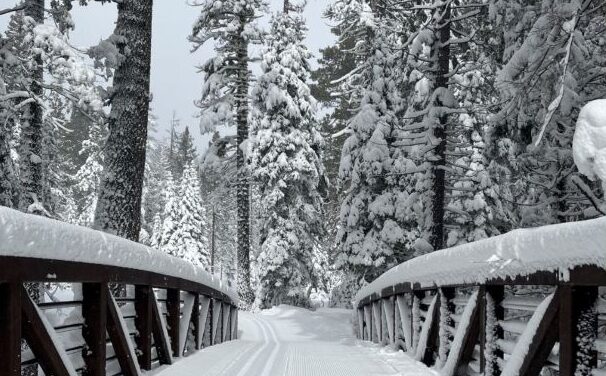 Winter: The best time to escape crowds in California State Parks