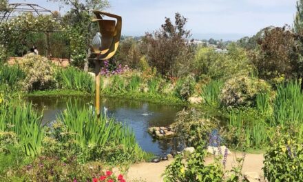 Alta Vista Botanical Gardens hosts nature walk, art class