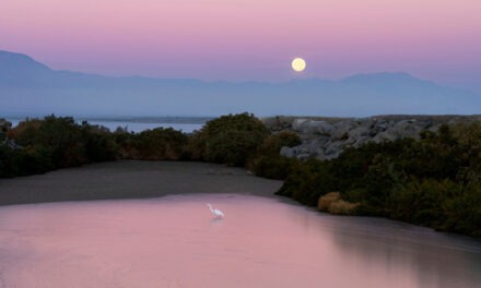 California State Parks seeks public input on Salton Sea plan