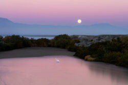 California State Parks seeks public input on Salton Sea plan
