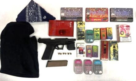Juvenile arrested after traffic stop reveals ghost gun, drugs
