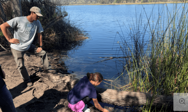 Escondido Creek Conservancy expands trout classroom program