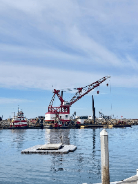 Rep. Levin secures $8.2M for Oceanside Harbor dredging
