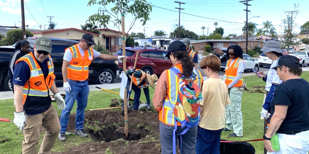 San Diego celebrates tree planting milestone at Gompers Park