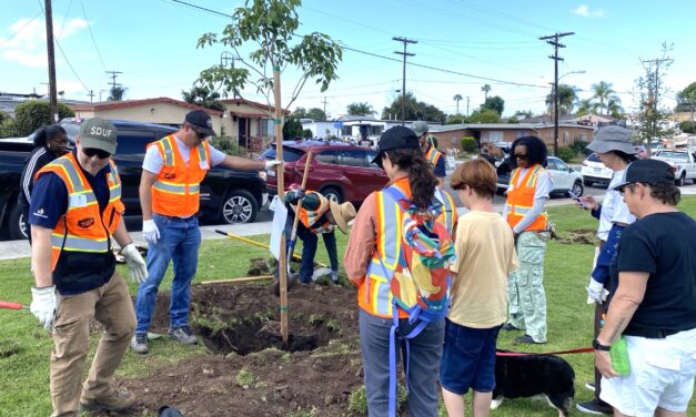 San Diego celebrates tree planting milestone at Gompers Park