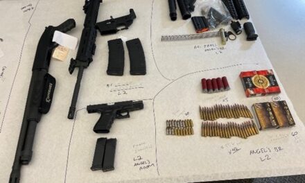 Sheriff’s search warrants net illegal narcotics and firearms