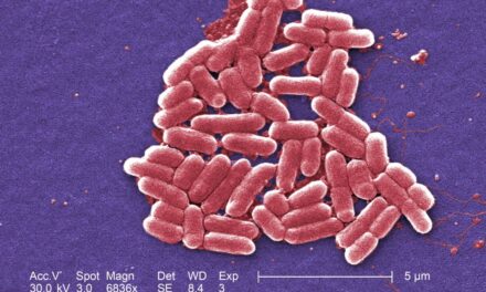 County Health urge medical attention amid E. coli outbreak