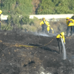 Oceanside firefighters contain fast-moving brush fire near homes