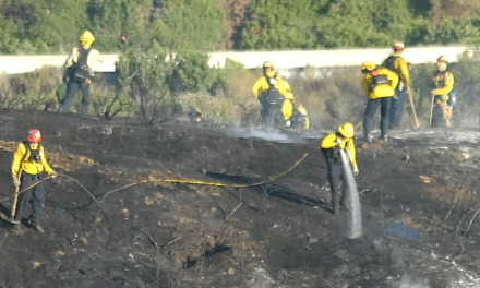 Oceanside firefighters contain fast-moving brush fire near homes