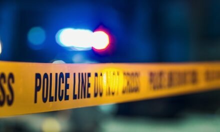 Traffic accidents increase the day after a mass shooting